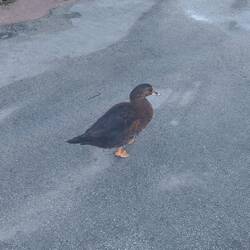 Hey, Einbahnstraße, bitte umkehren 🤣