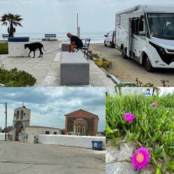 ..nun noch eine Schnüffel Runde für unseren Hund..