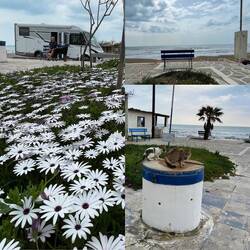 Hund und Katz bekommen von mir ein wenig Futter..