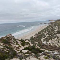Seal Bay, rechte Seite..