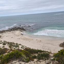 Seal Bay, linke Seite