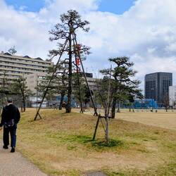 Hinten links, die Burgmauer