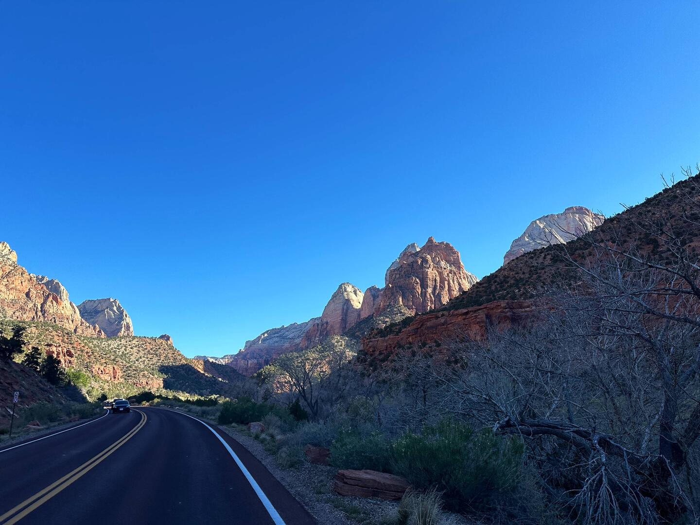 Good morning, Zion!