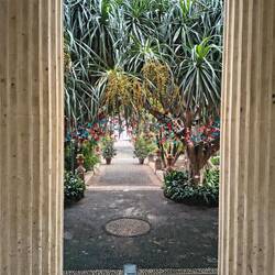 Blick im botanischen Garten vom Eingang der Aula