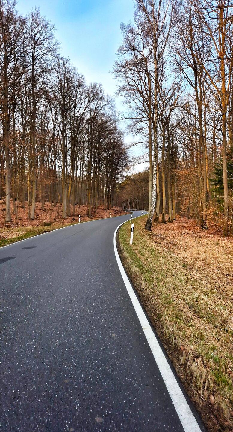 Asphalt-Liebe 🩶