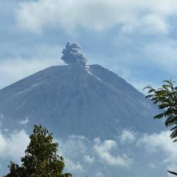 Vulkan Semeru (14 km Luftlinie) stösst dampfende Lava aus