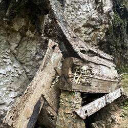 300 Jahre alte Familie-Särge zerfallen und die Knochen fallen heraus