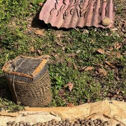 Nüsse vom Seifenbaum und Vanilleschoten trocknen am Strassenrand