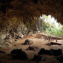 Höhle Liang Bua, 2003 wurden Knochen einer bisher unbekannten, kleinwüchsigen Menschenart entdeckt: