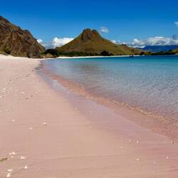 Einer der Pink Beachs