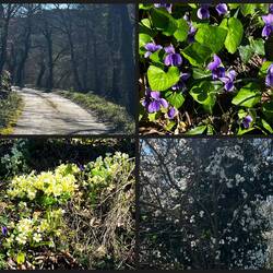 Trotz vieler Blümchenguckpausen...