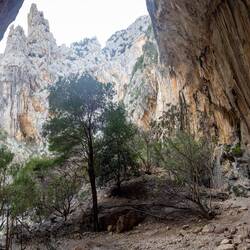 Größenverhältnisse...