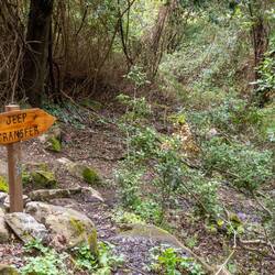 🤔... wäre das eine Option für den Rückweg 😅