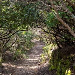 Wieder ein sehr schöner Weg