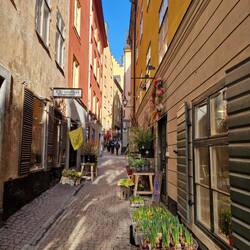 Auf dem Weg zum Schloss