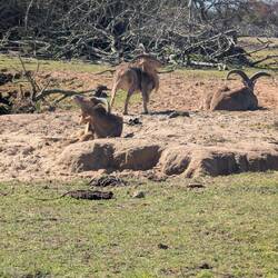 Hm...🤔 Der Rest war leider zu weit weg.