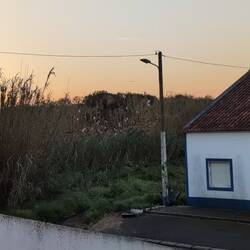 Der frühe Vogel... fängt den Wurm nicht. Ist nämlich viel zu laut und verscheucht alles. 🙃