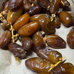 1/2 Kilo Datteln 🤤