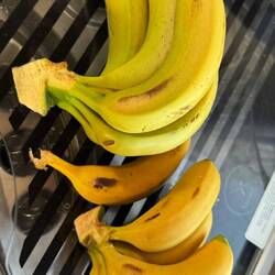 1 Kg vorzügliche Bananen 13 DH 👌