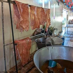 Meat prepared for making chicharrones