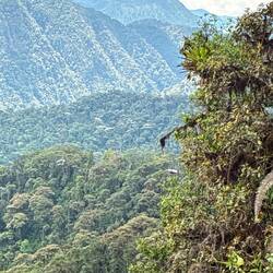 Le toit de notre lodge vu de la montagne.