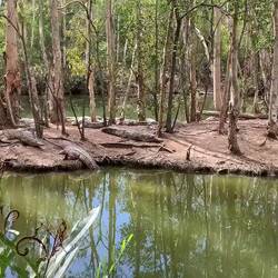 Plenty sunning themselves