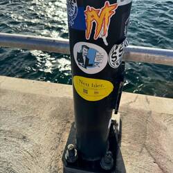 Manche Dinge muss man einfach tun.