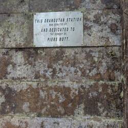 Die Widmung an Piers Mott