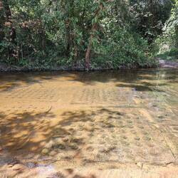 River of thousand Lingas