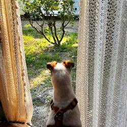 Jetzt aufm CP in Avignon, wo die nächste berühmte Pont wartet