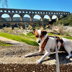 Da musste ich schnell sein mit dem Foto