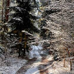 Der „steile" Anstieg