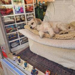 So entspannt geht es in Södermalm zu