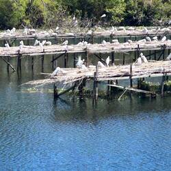 They built these docs as a sanctuary for them to nest