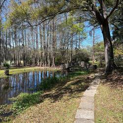 Lots of pretty trees and a really cool little stone bridge over the water