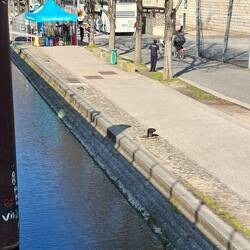 Am Quai