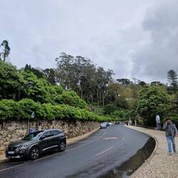 mega vüu grüen 🌿