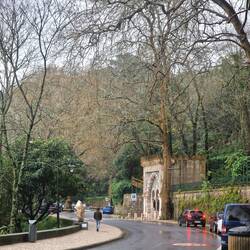 Grüen Grüen Grüen