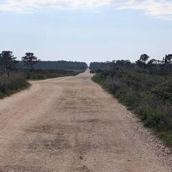 Kilometerweit nur geradeaus...