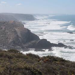 ... Bis wir zurück an der Küste sind.