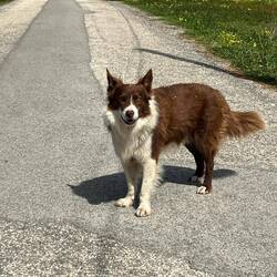 Begegnungen mit den Locals bleiben auch nicht aus.