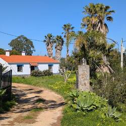 Portugal - Idylle, es geht nochmal kurz durchs Hinterland...