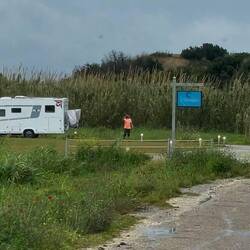 ..und werden schon freudig erwartet 😍