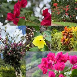 Lots of varied and colorful flowers cover the island