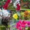 Lots of varied and colorful flowers cover the island