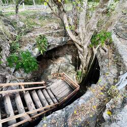 Eingang zur Cenote