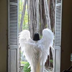 By 'chance'... we crossed paths with an angel 😇