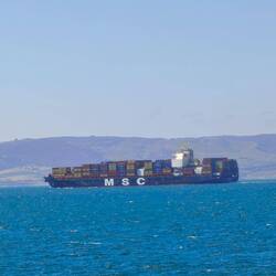 Unterwegs kreuzt uns noch ein Frachter der Schweizer Reederei MSC