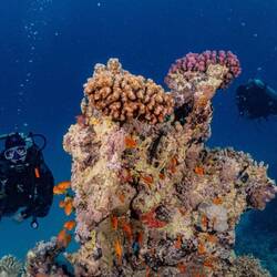 Nadine und v.b.F. 😃