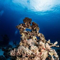 Blubb blubb blubb 🤩